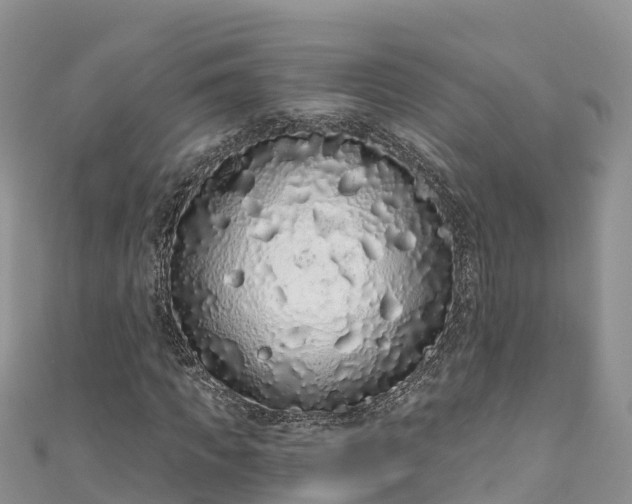 X0000110960917200906261338