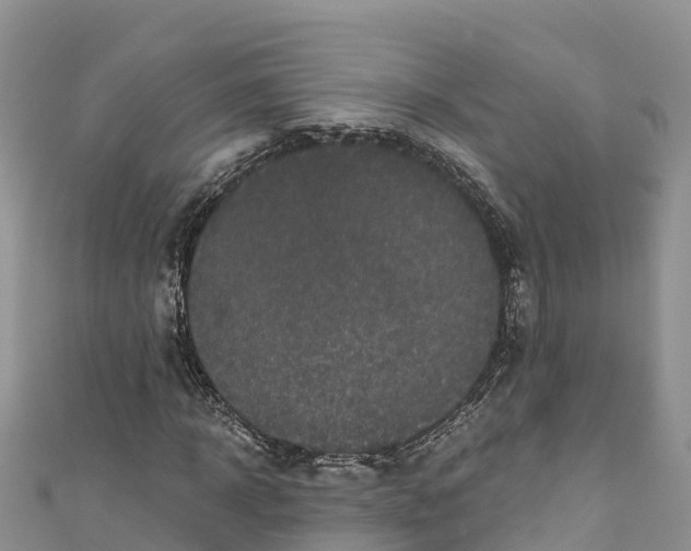 X0000110960918200906261338