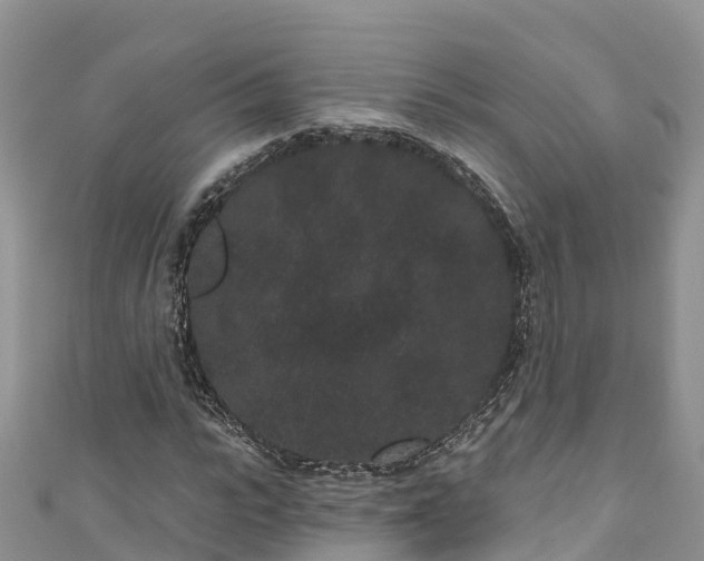 X0000110960919200906261338