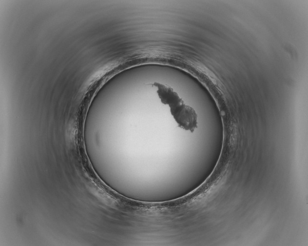 X0000110960922200906261338