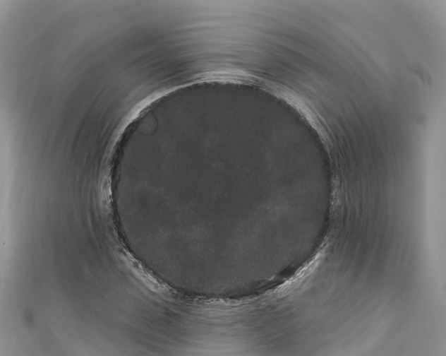 X0000110960923200906261338