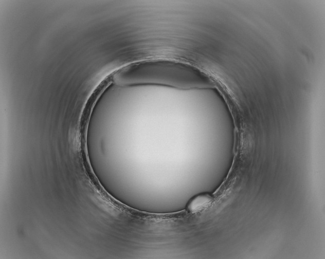 X0000110960924200906261338