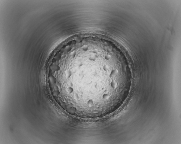 X0000110960925200906261338