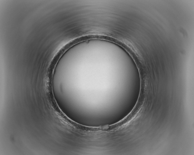 X0000110960926200906261338