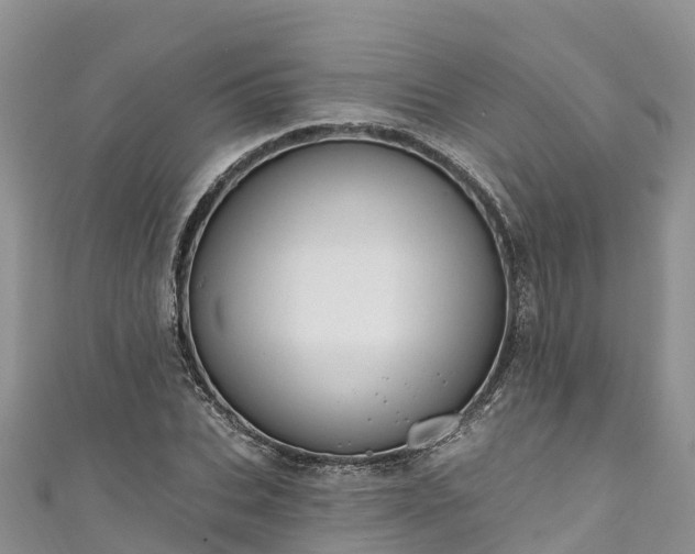X0000110960927200906261338