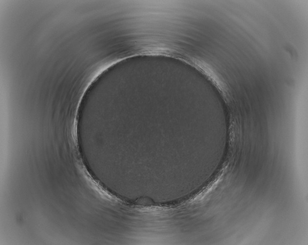 X0000110960932200906261338
