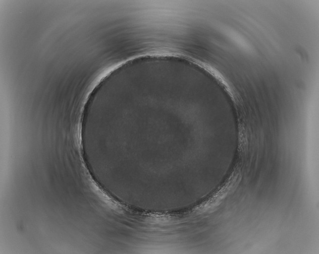 X0000110960935200906261338