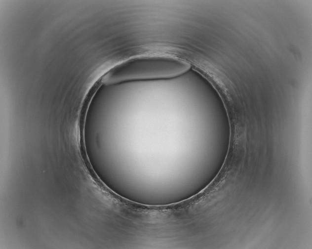 X0000110960936200906261339