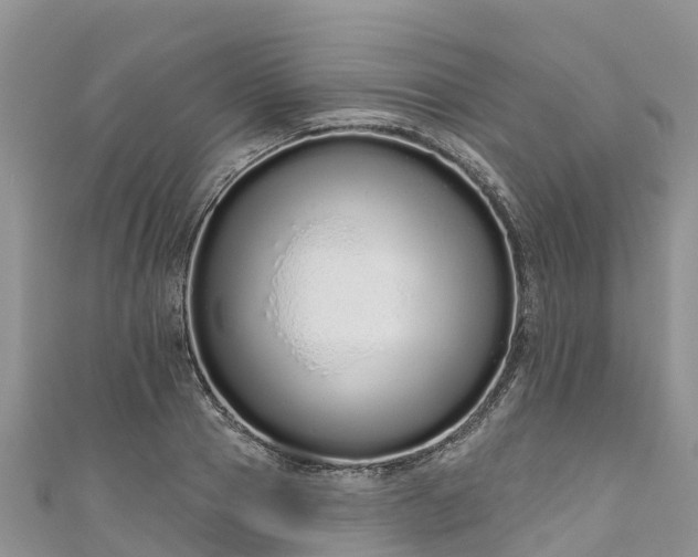 X0000110960937200906261339