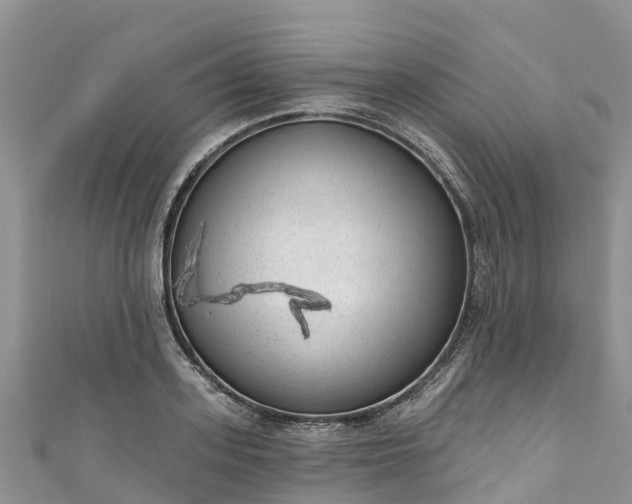 X0000110960939200906261339