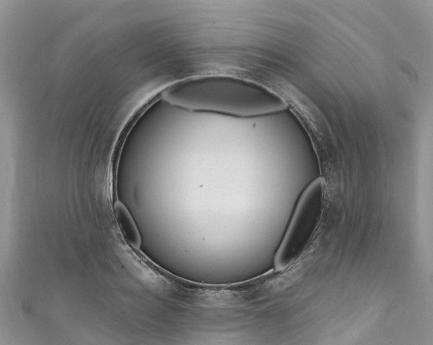 X0000110960940200906261339