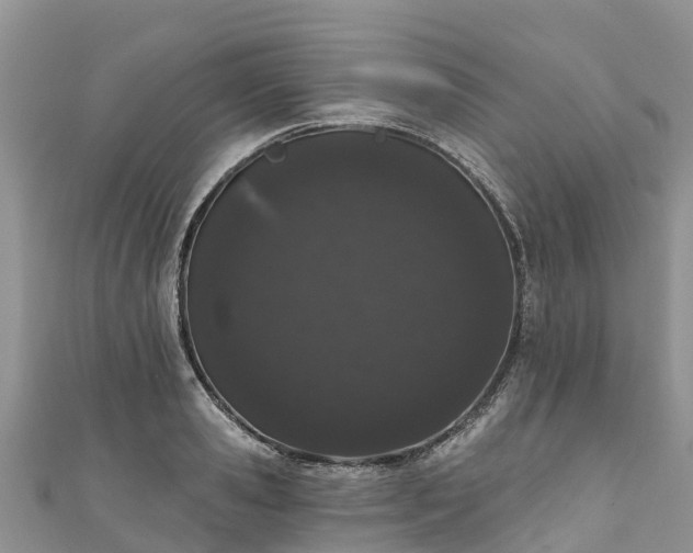 X0000110960941200906261339