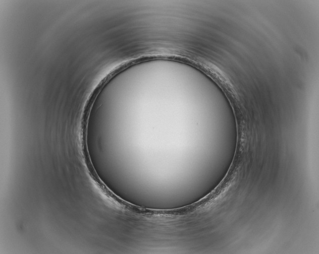 X0000110960942200906261339