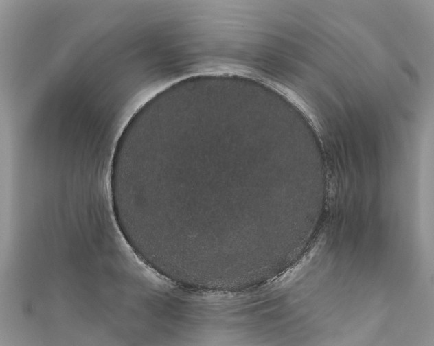 X0000110960943200906261339