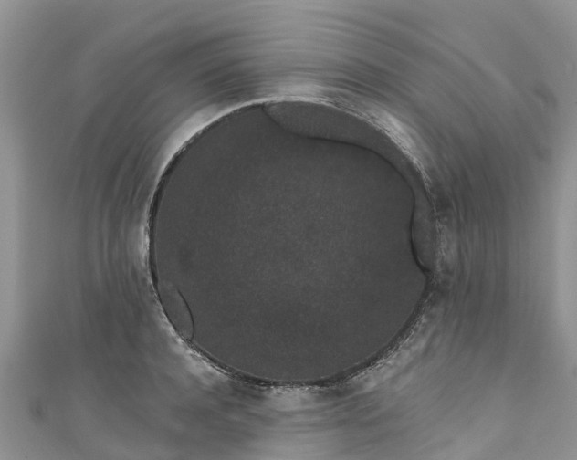 X0000110960944200906261339