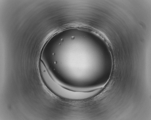 X0000110960946200906261339