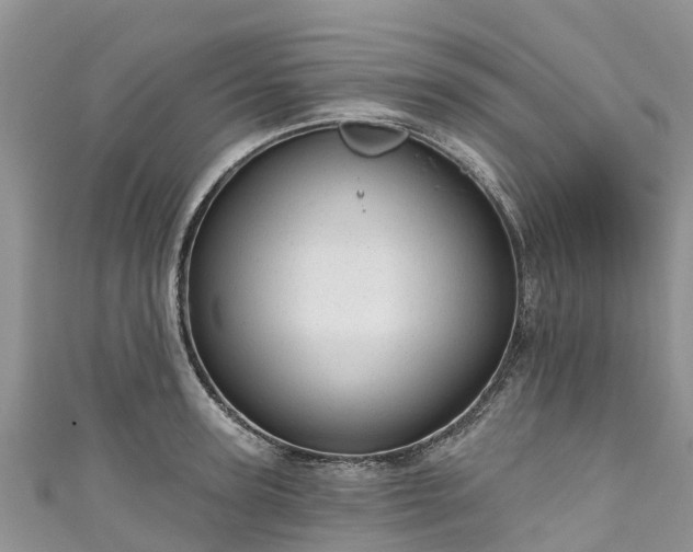 X0000110960947200906261339