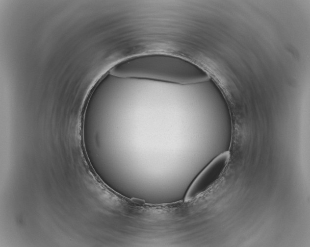 X0000110960948200906261339