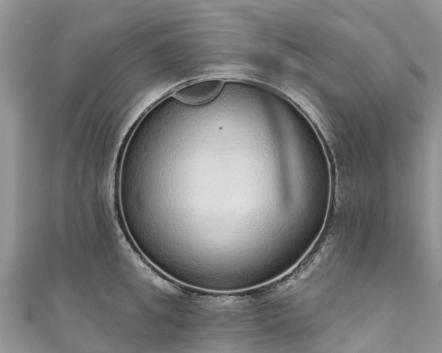 X0000110960949200906261339