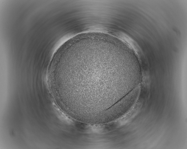 X0000110960952200906261339