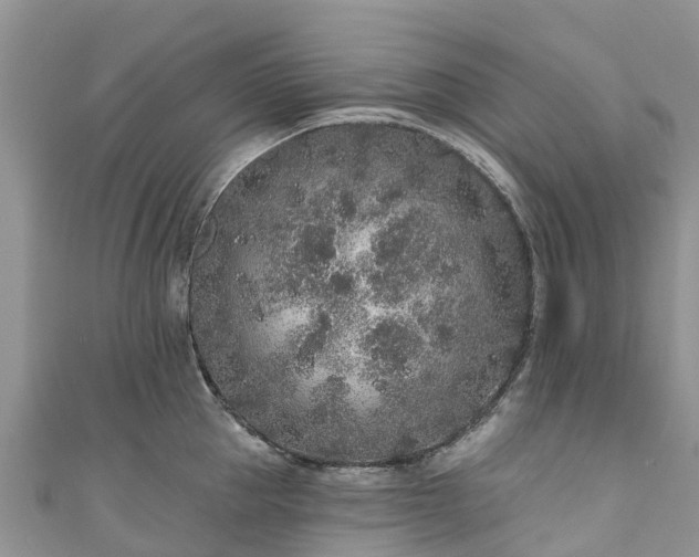 X0000110960953200906261339