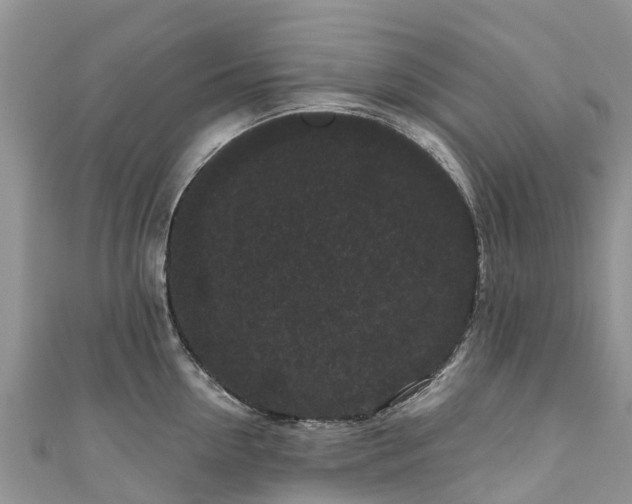 X0000110960954200906261339