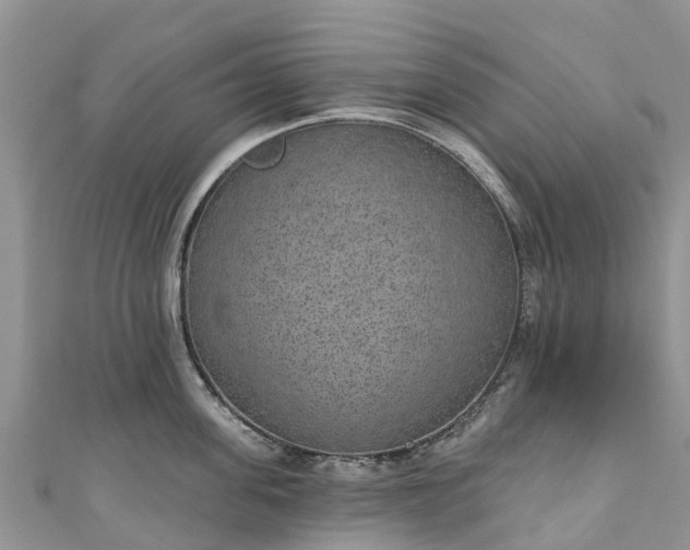 X0000110960955200906261339