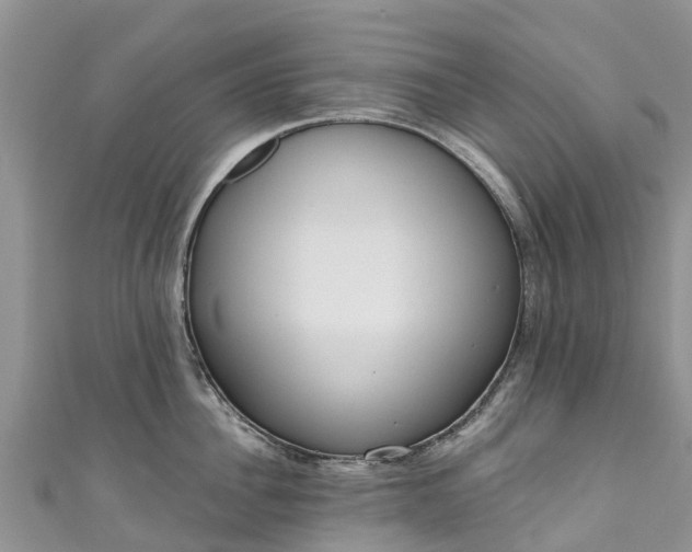 X0000110960956200906261339