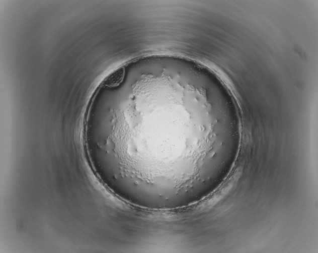 X0000110960957200906261339