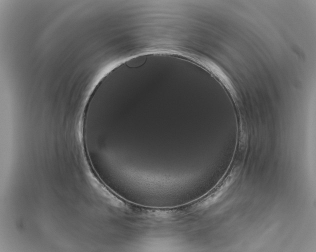 X0000110960958200906261339