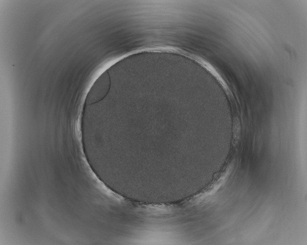 X0000110960959200906261339