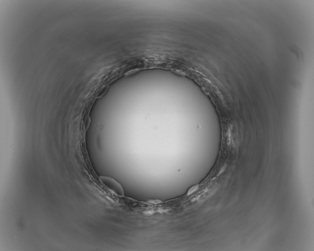 X0000110960961200906261338