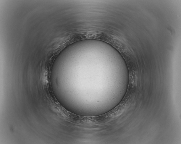 X0000110960962200906261338