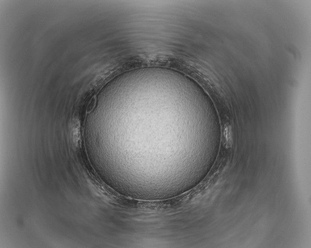 X0000110960963200906261338