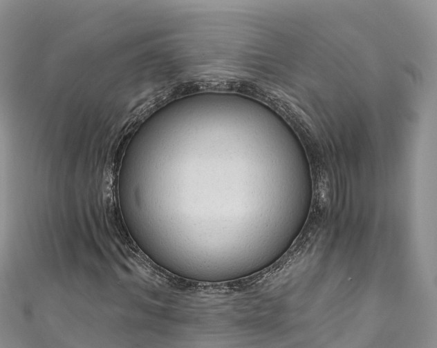 X0000110960964200906261338