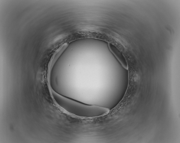X0000110960965200906261338