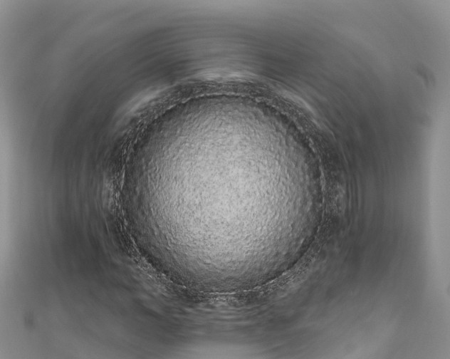 X0000110960966200906261338