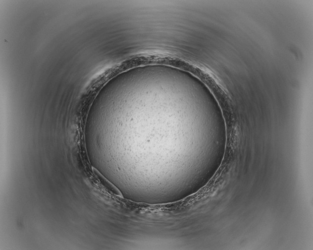 X0000110960967200906261338
