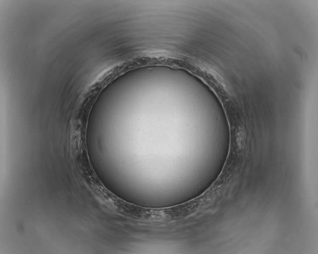 X0000110960968200906261338