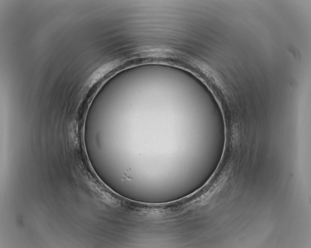 X0000110960970200906261338
