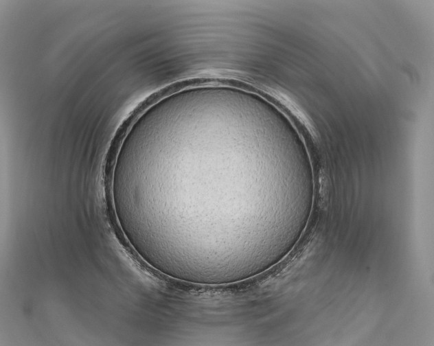 X0000110960972200906261338