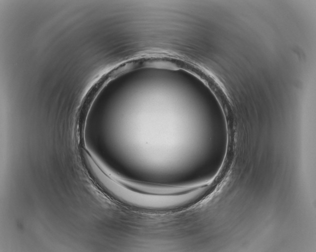 X0000110960973200906261338