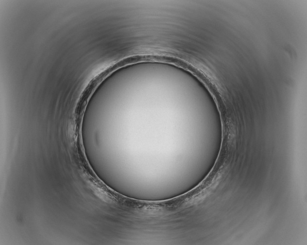 X0000110960974200906261338