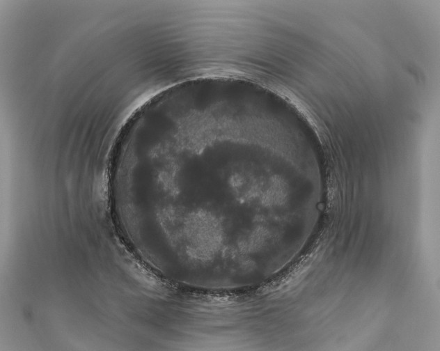 X0000110960975200906261338