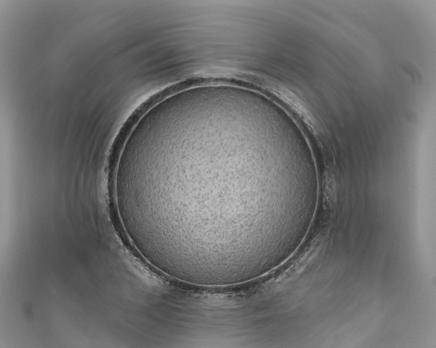 X0000110960976200906261338
