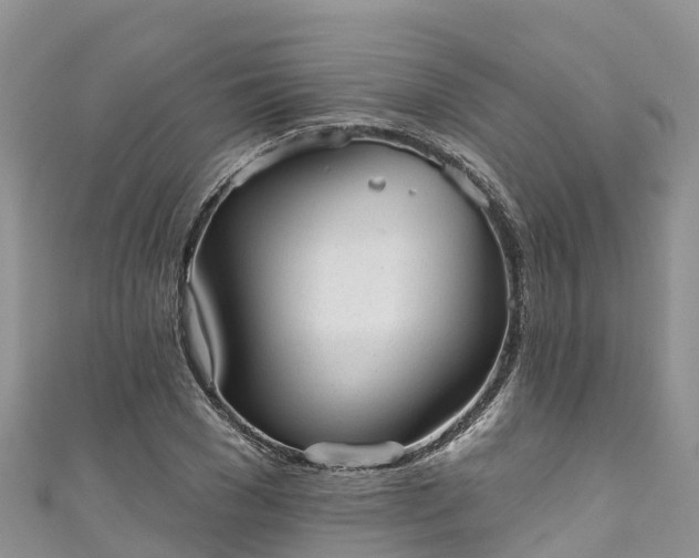 X0000110960977200906261338