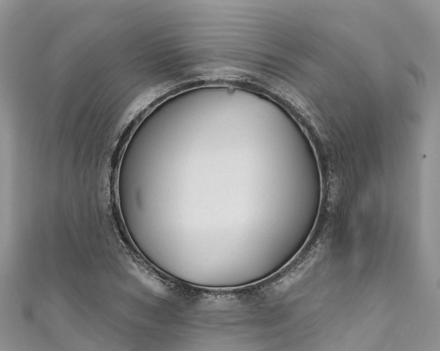 X0000110960978200906261338