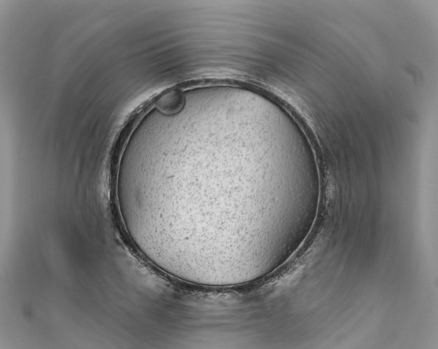 X0000110960979200906261338