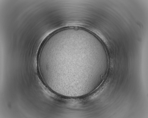 X0000110960980200906261338