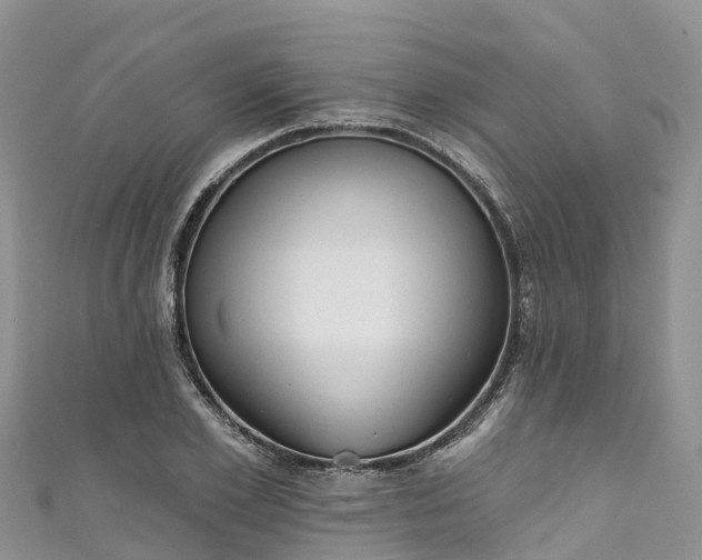 X0000110960981200906261338